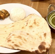 レディースBセット