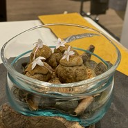 Ristorante　SUGIYAMA