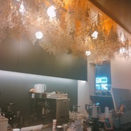 カフェピアッザ