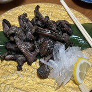 博多味処いろは北新地店