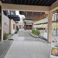 THE KASUGA