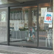 THE KASUGA