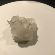 フロリレージュ（Florilege）