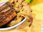 うなぎの蒲の穂焼 牛タン 焼鳥 馬刺し いづも 浅草横町
