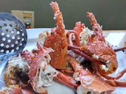 伊勢えび料理池浦