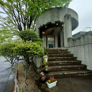 フレンチマスタード