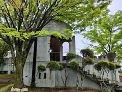 フレンチマスタード