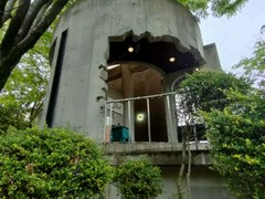 フレンチマスタード