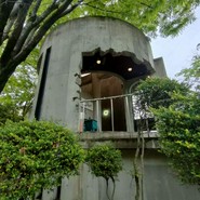 フレンチマスタード