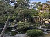 個室から見える素敵な中庭