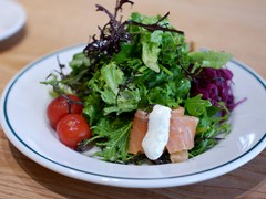 ヴァインズ VINES