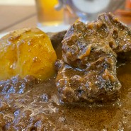 ベンガル （BENGAL）