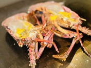 レストラン シャロン 柏原店