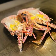 レストラン シャロン 柏原店