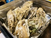 海鮮居酒屋　大漁旗