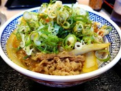 青ネギどっさりのねぎ玉牛丼