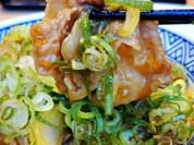 ねぎ玉牛丼の牛肉を箸で持ち上げ。