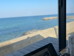 淡路　夢ホルモン