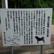 サンエイト美都