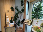 むさしの森珈琲 岐阜柳津店