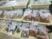 社員特価販売1/2