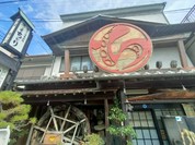 ちどり