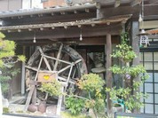 ちどり