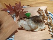 サワラ、ブリ