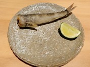 銀座呑小路やま岸
