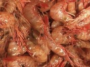 ピリ辛豚バラ丼