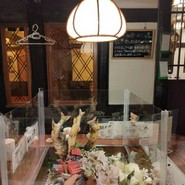 居酒屋　けい　～蛍～