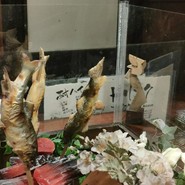 居酒屋　けい　～蛍～