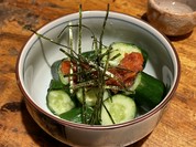 木菟