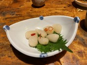 木菟