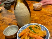 木菟