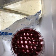 フェアリーテール