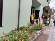 シボン