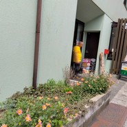 シボン