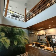 タケダカフェ ツリーズ