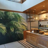 タケダカフェ ツリーズ