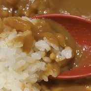 お出汁の効いた和風味のカレーです！
