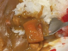 そば屋のカレーはお出汁が効いて美味し！