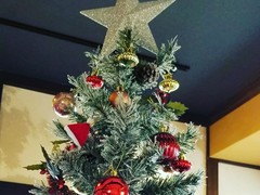 蘭カフェクリスマス