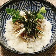 湯浅醤油仕立て　しらす飯