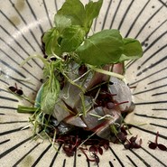 ニシンのお刺身