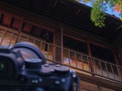 ?橋屋 杉戸本店