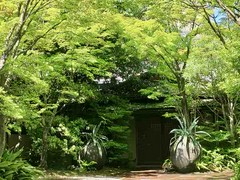 THE　SODOH　HIGASHIYAMA　KYOTO