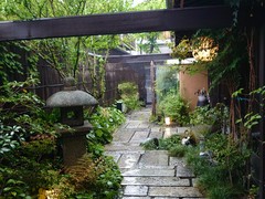 せんなり亭　伽羅