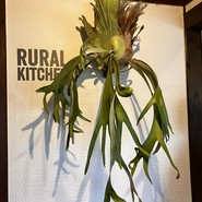 RURAL KITCHEN
