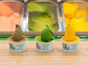 西村番茶屋本店 GELATO FACTORY